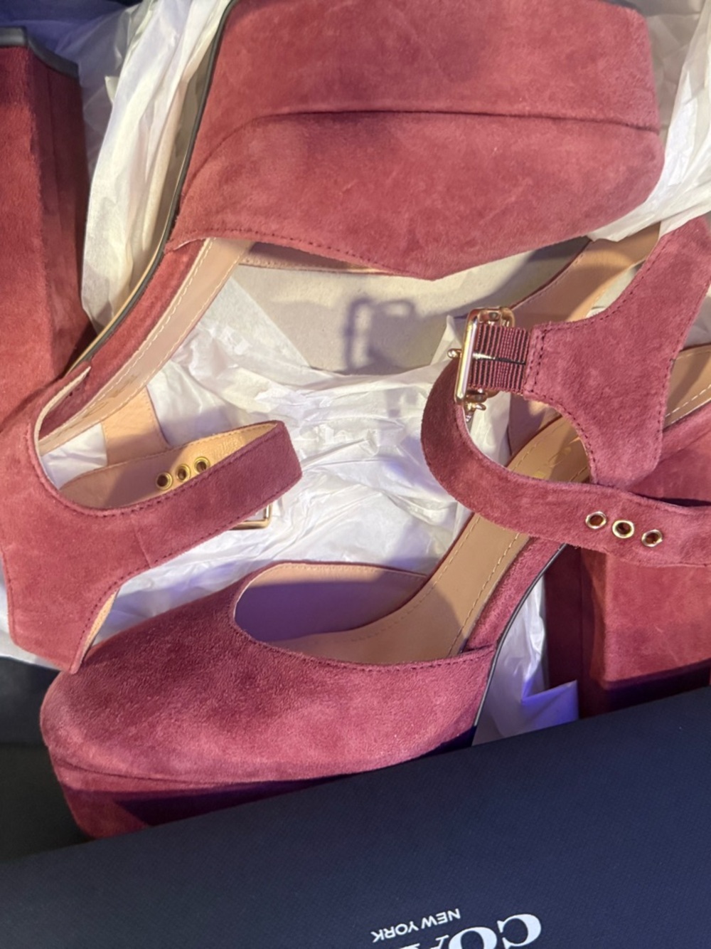 Coach Rose Suede Platform Mary Jane Heels